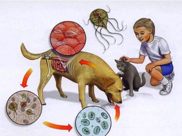 how to infect children with parasites